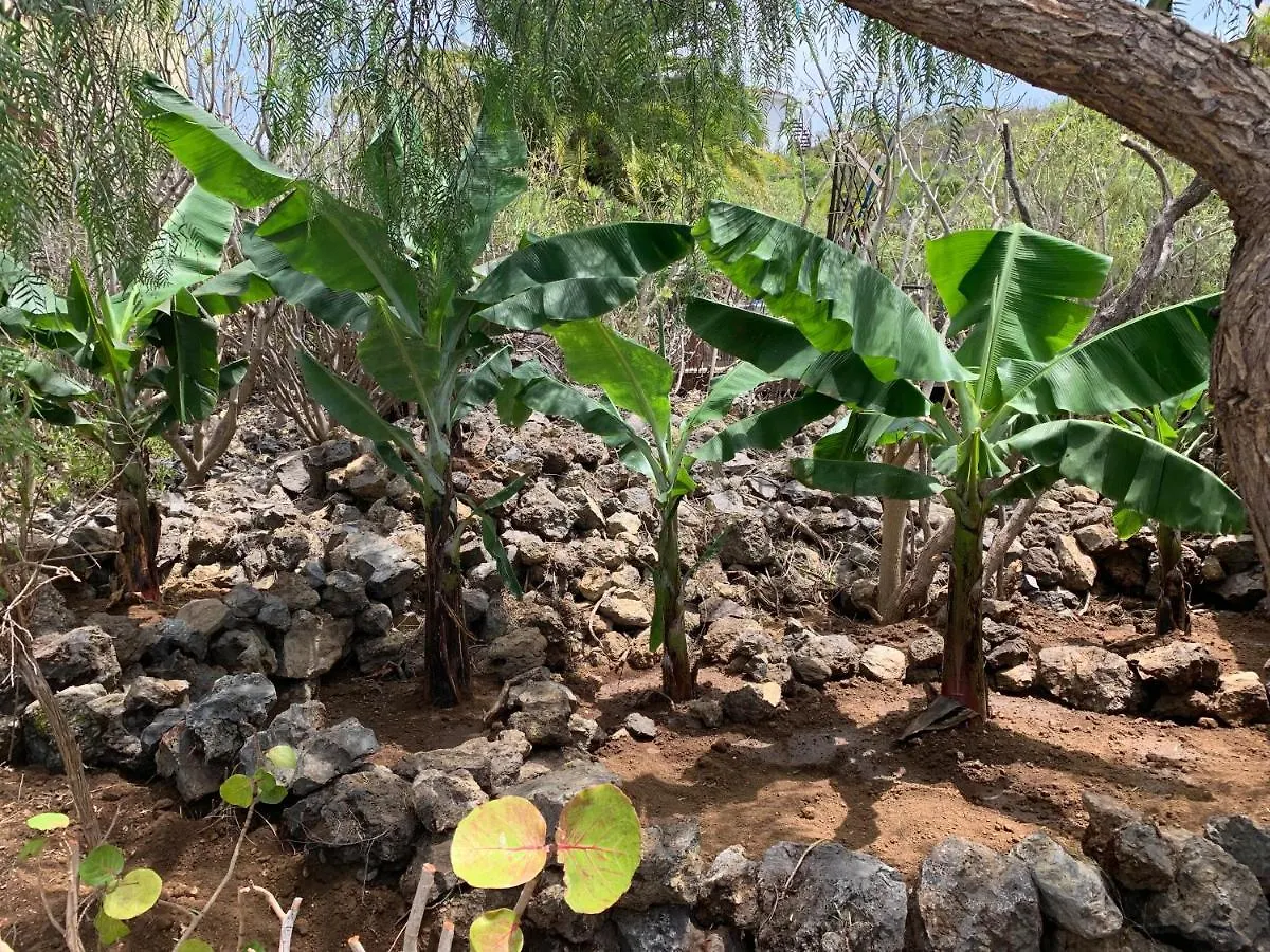 Bodeguita - Finca Tabaiba By Tor Icod De Los Vinos Сasa de vacaciones
